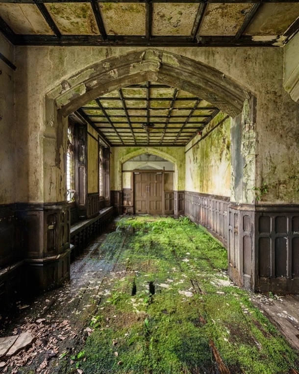 Mossy Carpet in an old abandoned mansion Photo by romain_veillon 