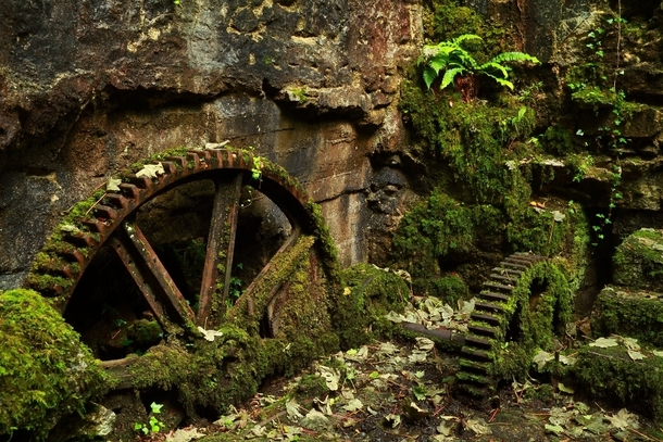 Mossy gears at an old gunpowder works Ponsanooth in Cornwall Photo by Mike Crowle 