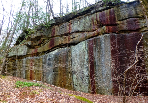 Mossy iron stained sandstone outcrop Allegheny National Forest PA 