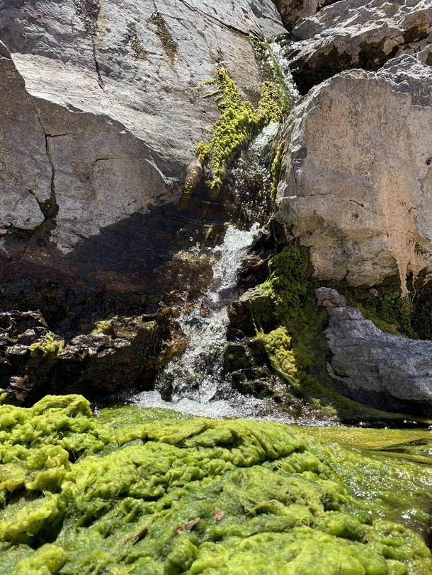 Mossy Stream in Dried Out Horseshoe Dam 