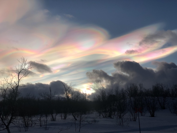 Mother of Pearl clouds over Abisko Sweden last week