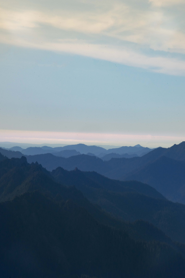 Mount Ellinor in Olympic National Park 