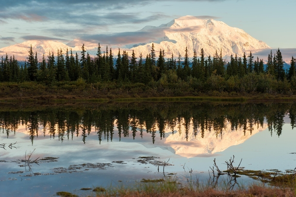 Mount McKinley Denali National Park Alaska   Heikki Put