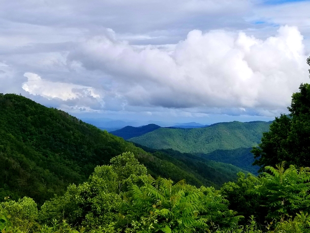 Mount Mitchell North Carolina 