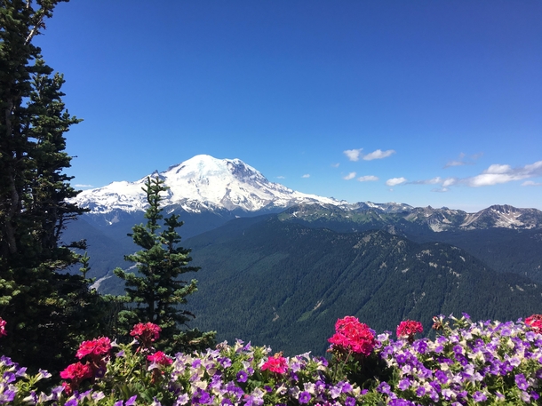 Mount Rainer from Crystal Mountain 