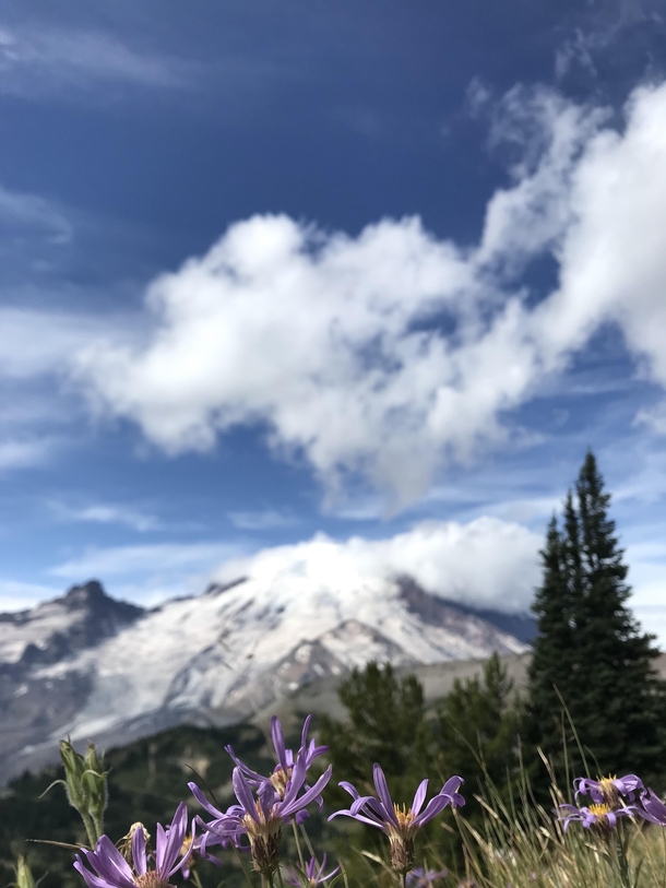 Mount Rainier from Sourdough Ridge August  