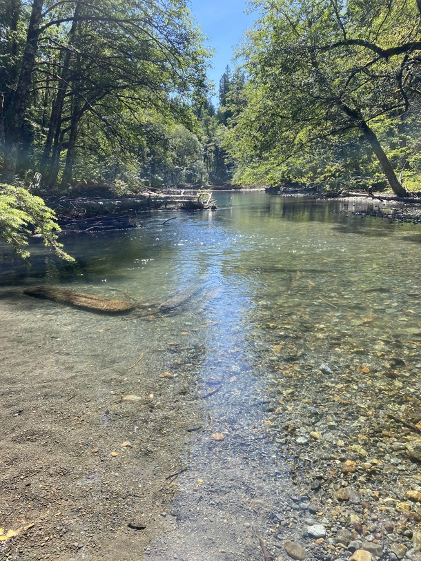 Mount Rainier National Park tranquil stream OC  x 
