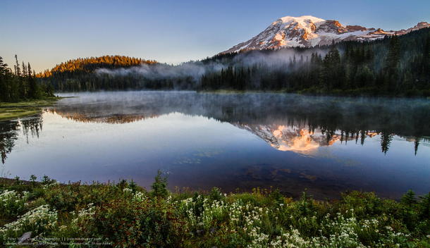 Mount Rainier National Park Washington Photo by Peter West Carey 