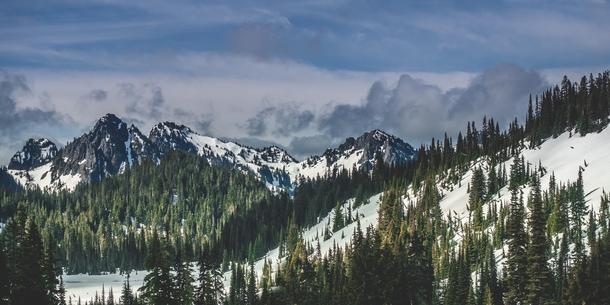 Mount Rainier NP WA USA 