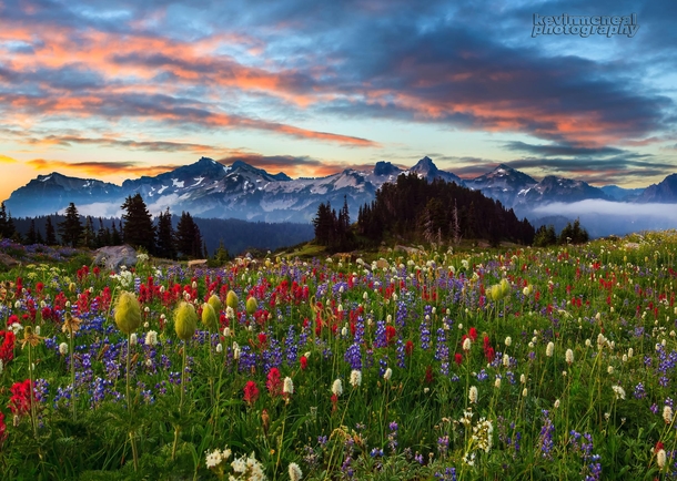 Mount Rainier Washington Photo by Kevin McNeal 