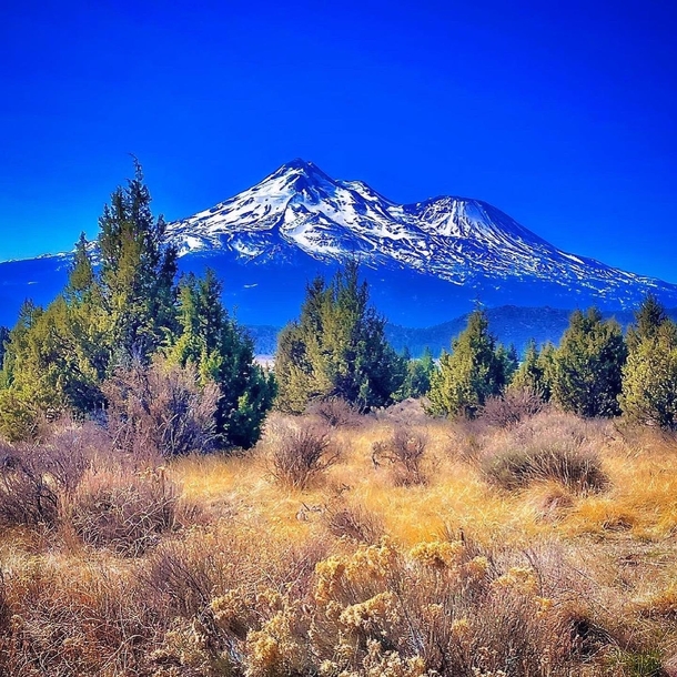 Mount Shasta near Weed California 