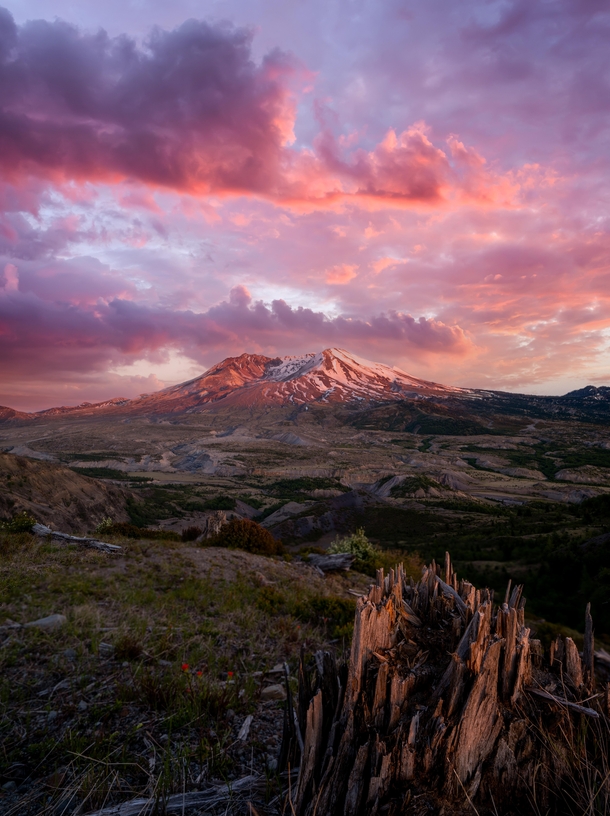 Mount St Helens viewed from the Lootwit viewpoint  OC