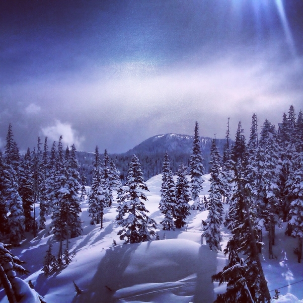 Mount Washington British Columbia Canada x