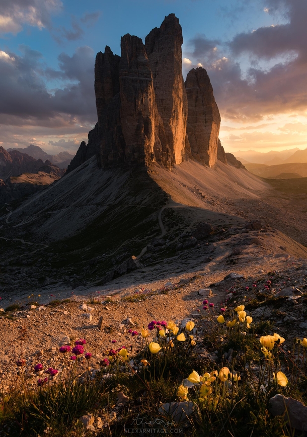 Mountain Flowers and Breathtaking Sunsets Tre Cime di Lavaredo Italy 