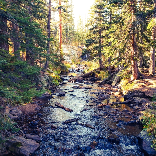 Mountain stream in Rocky Mountain National Park 