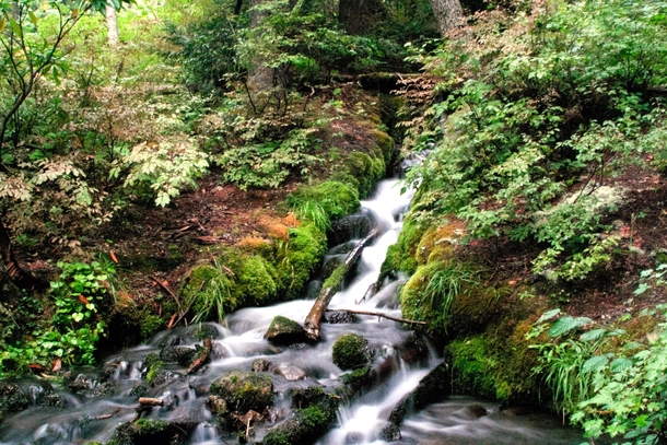 Mountain stream near Mt Hood Oregon 