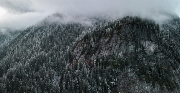 Mountainside in Snoqualmie Pass x OC