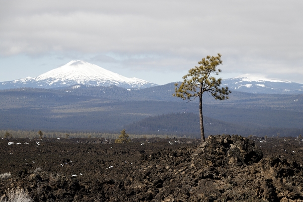 Mt Bachelor and Newberry lava field central Oregon 