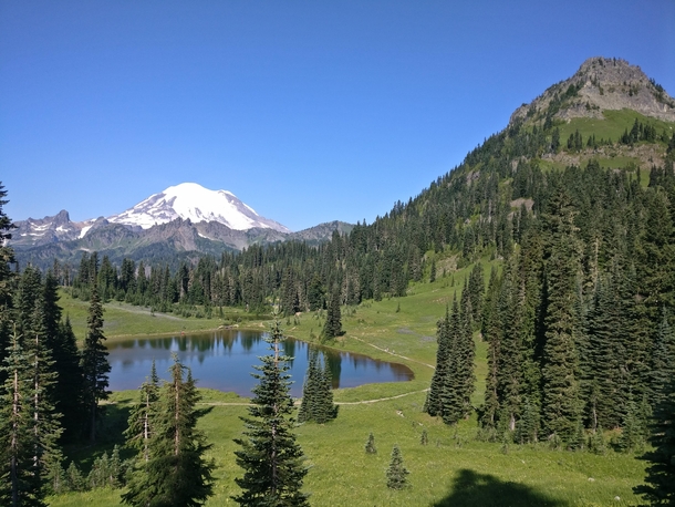 Mt Rainier WA this weekend whilst camping OC x