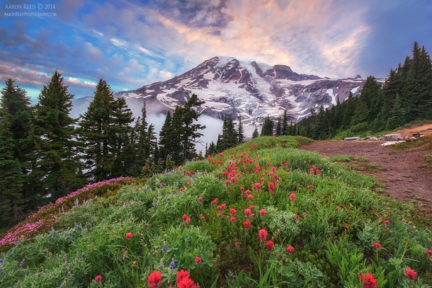 Mt Rainier Washington  by Aaron Reed
