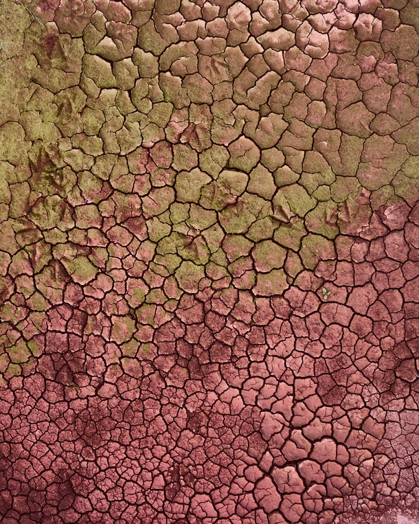 Mud cracks make great texture Iceland  OCInstagram bjarkijohannss