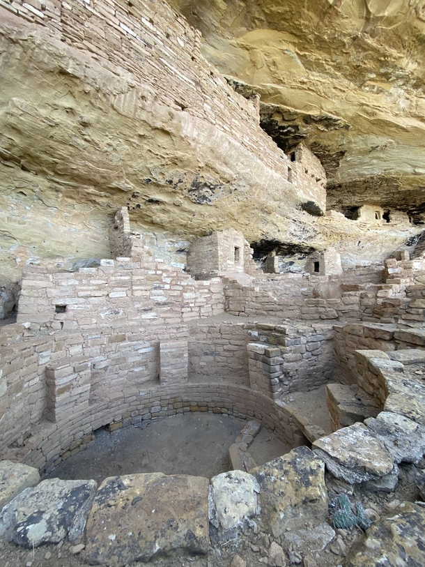 Mug House May  Ancestral Puebloan ruins at Mesa Verde National Park last inhabited  years ago 