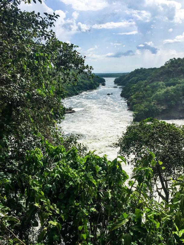 Murchison Falls National Park Uganda 