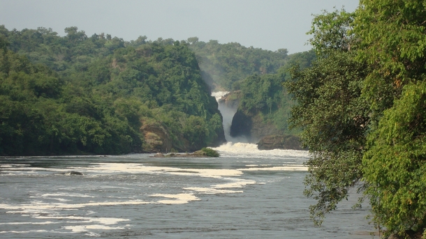 Murchison Falls Paraa Uganda 
