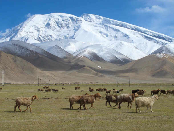 Muztagh Ata meaning ice mountain father is one of the most prominent peaks around Lake Karakul a popular tourist destination at the farthest reaches of western China It stands at  meters and is the rd highest peak in the world 