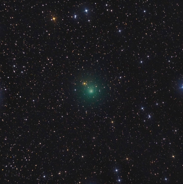 My best image of the Comet C M ATLAS