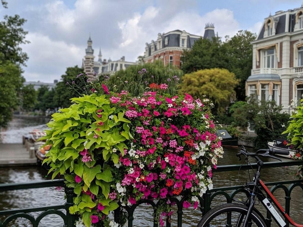 My boyfriend is studying abroad in Amsterdam and sent me this beautiful photo