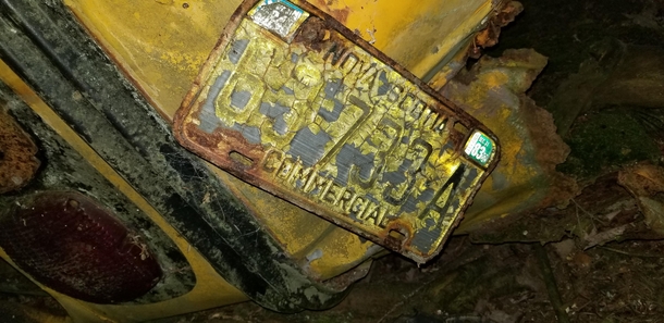 My buddy recently built a farm in rural Nova Scotia Found an abandoned school bus Last inspection sticker says 