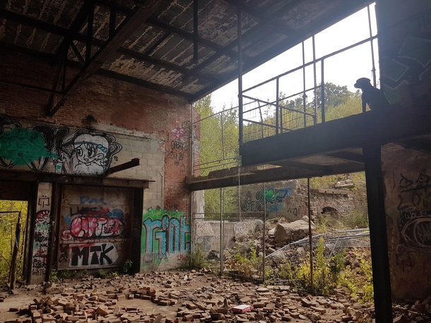 My dog and I at an abandoned mill in Ontario