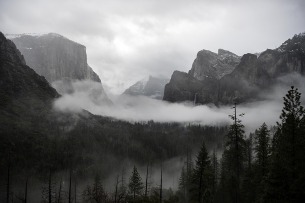 My first post a misty mysterious morning in Yosemite Valley 