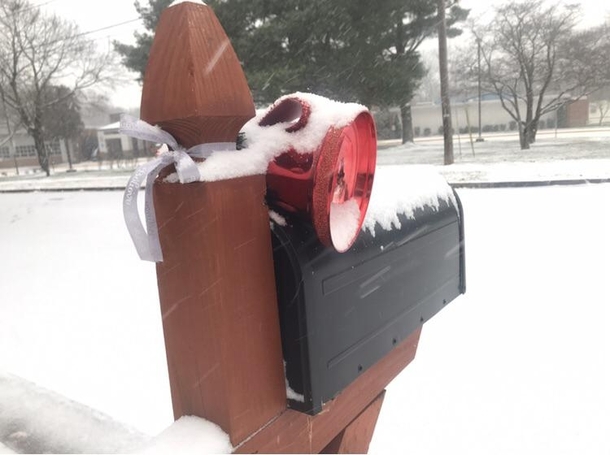 My Mailbox on the First Snow of the Season NoVaOC