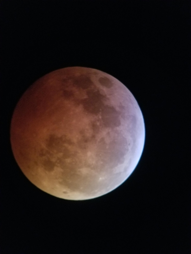 My picture of the Super Wolf Blood Moon I took on my phone