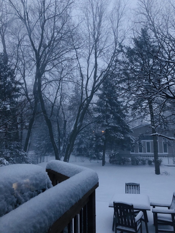 My suburban Toronto backyard on a January morning 