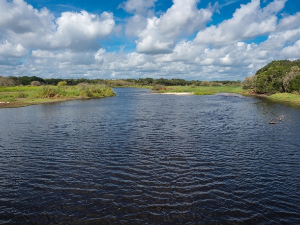 Myakka River State Park near Sarasota Florida 