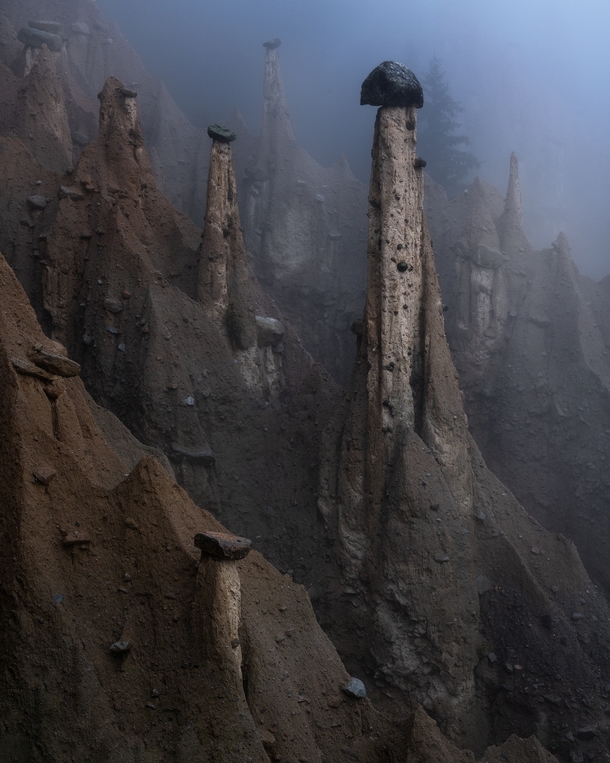 Mysterious creatures aka Valle del Viagra Dolomites South Tyrol 