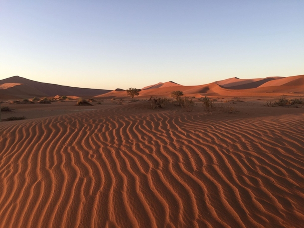 Namib desert at sunrise Namibia 