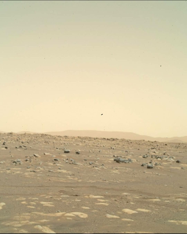 NASAs Mars Perseverance acquired this image of Martian landscape