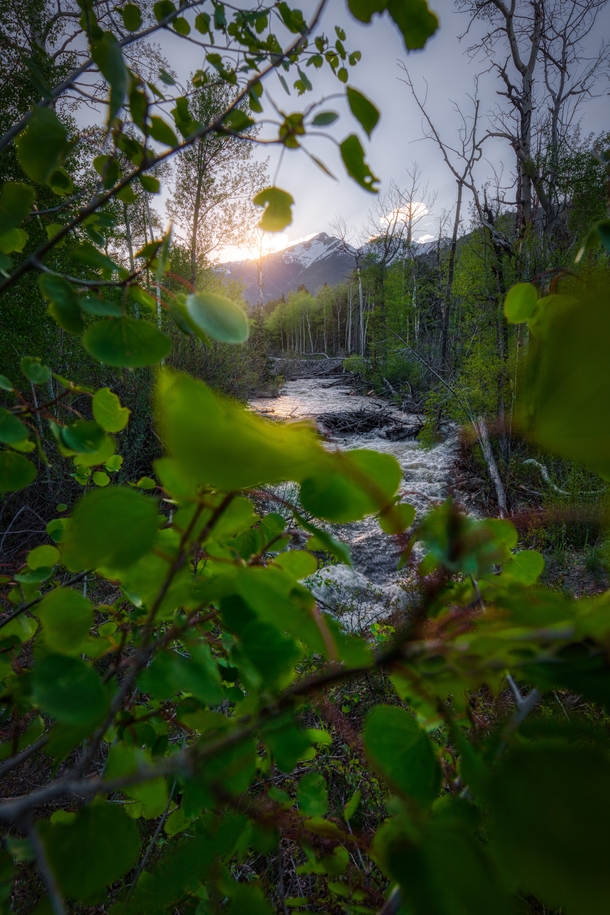 Natural Framing of Mt Yale and Cottonwood Creek in Colorado 