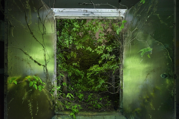 Nature creeping in on a classroom in an abandoned PA school 