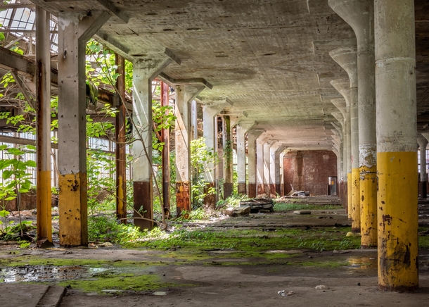 Nature is beginning to reclaim this abandoned factory