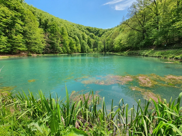 Nature park Papuk Croatia 