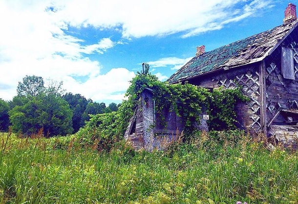Nature really taking back this abandoned farm house in Ontario Canada