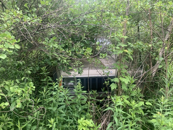 Nature taking a jeep