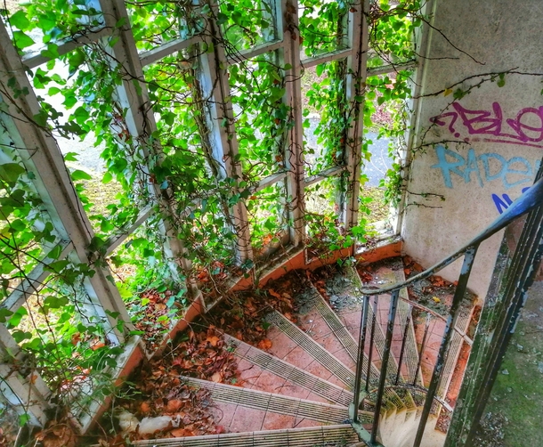 Nature taking over an abandoned hotel 
