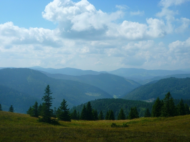 near the top of the feldberg Black Forest Germany 