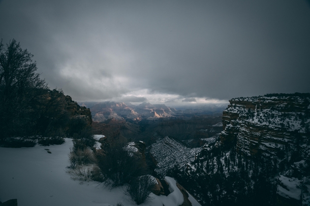 Never knew The Grand Canyon got snow 